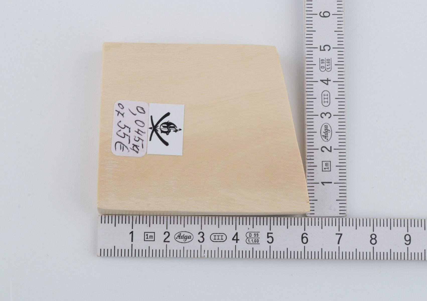 White mammoth ivory segment