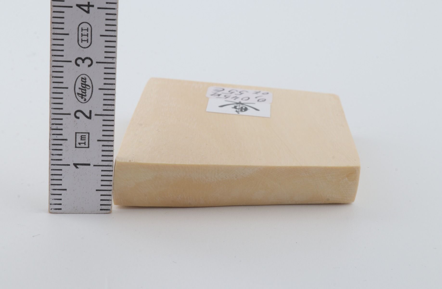 White mammoth ivory segment