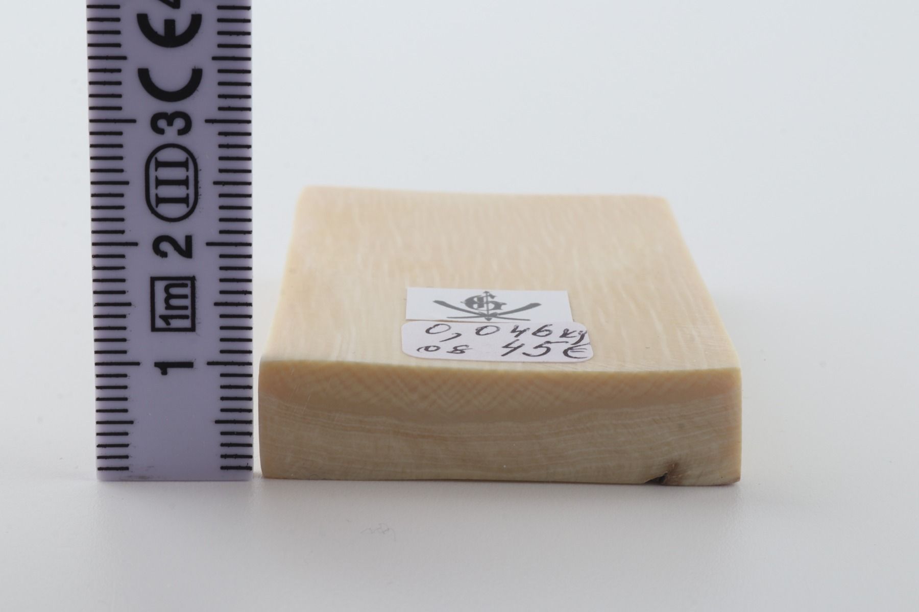 White mammoth ivory segment