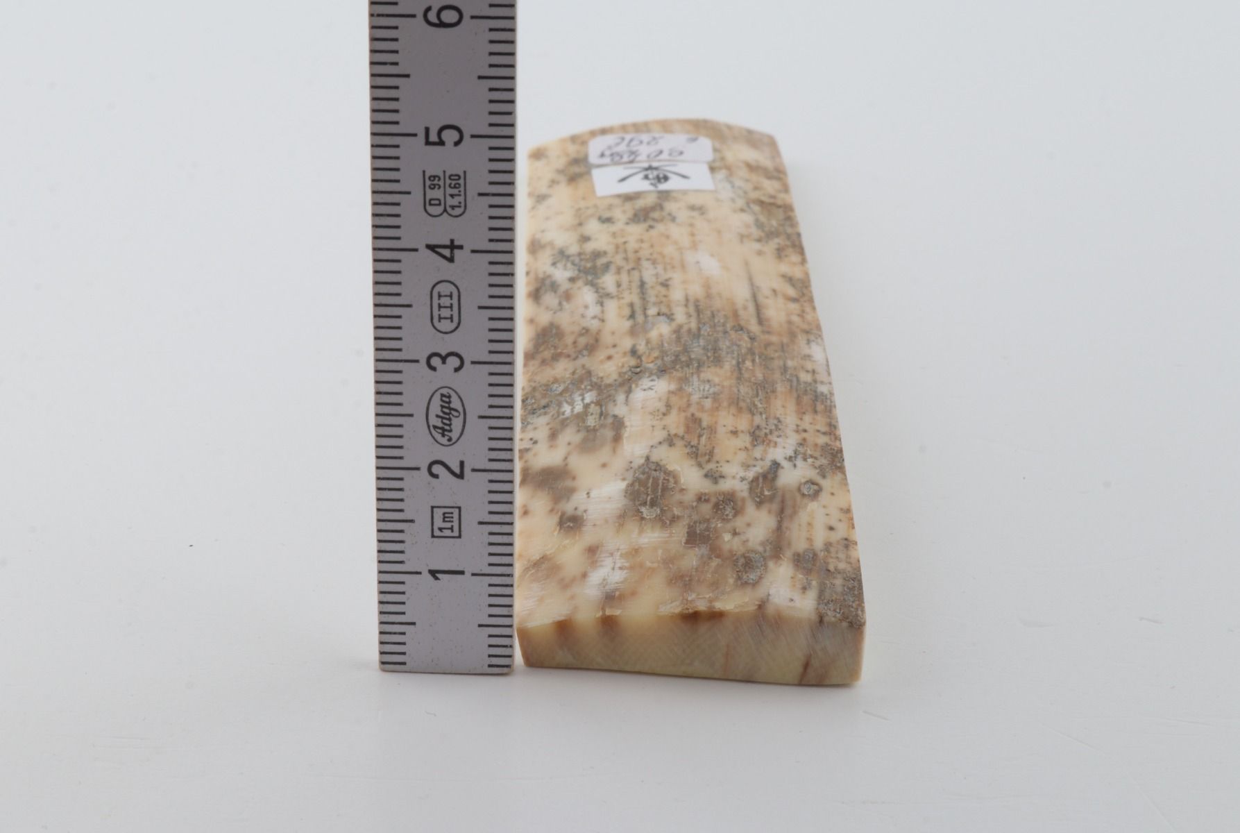 White-grey mammoth bark