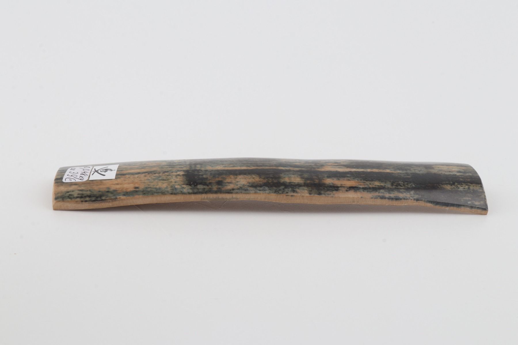 Blue mammoth bark