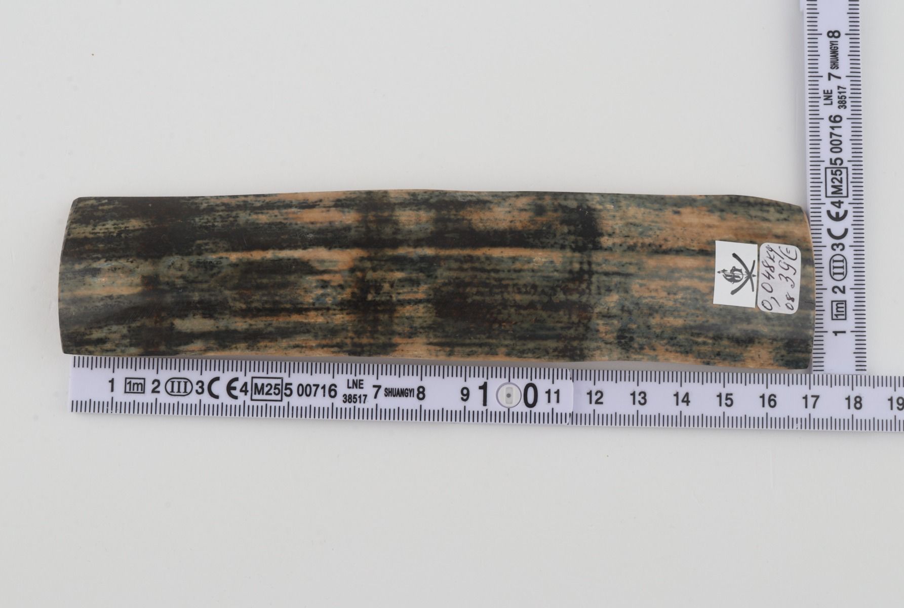 Blue mammoth bark