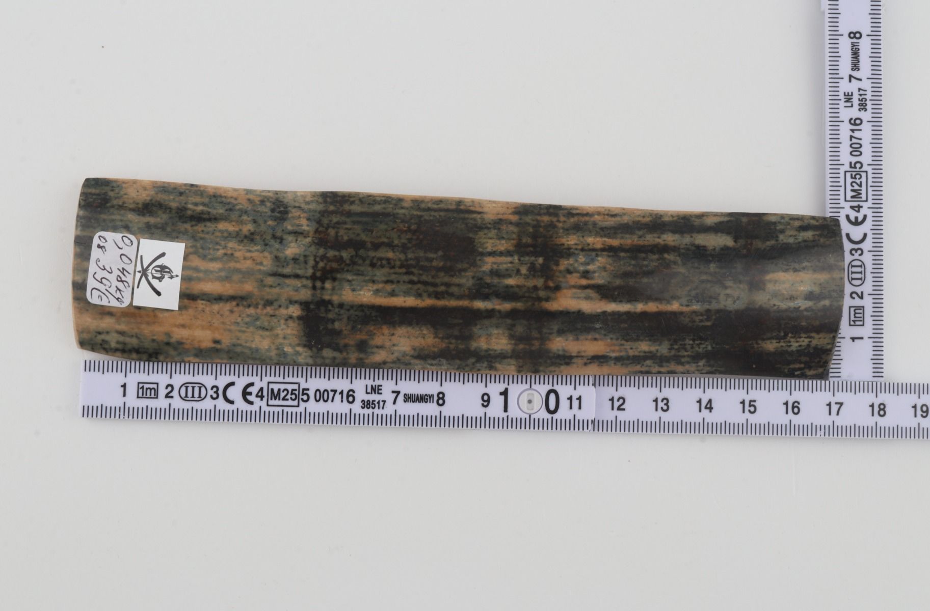 Blue mammoth bark
