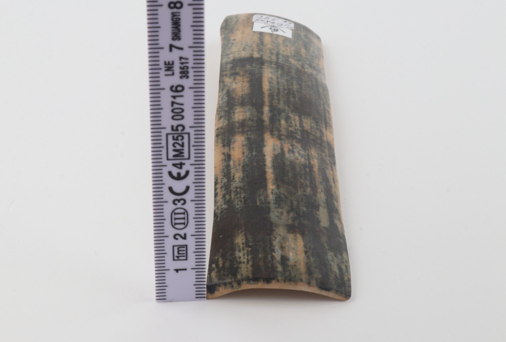 Blue mammoth bark