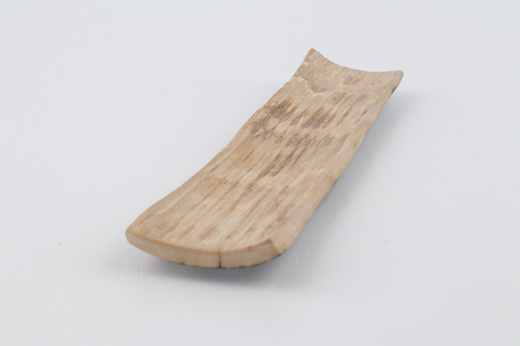 Blue mammoth bark