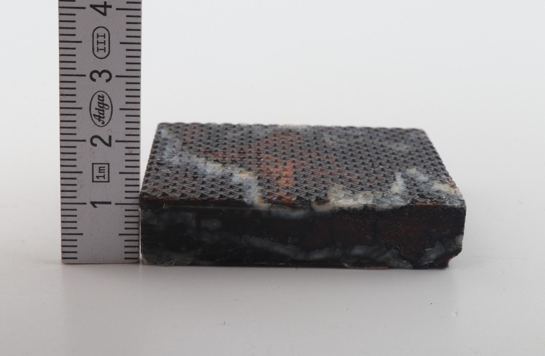 Stabilized mammoth molar piece