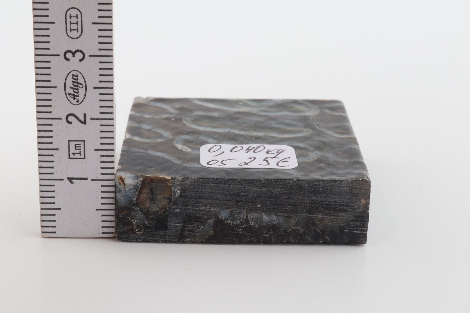 Stabilised mammoth molar piece