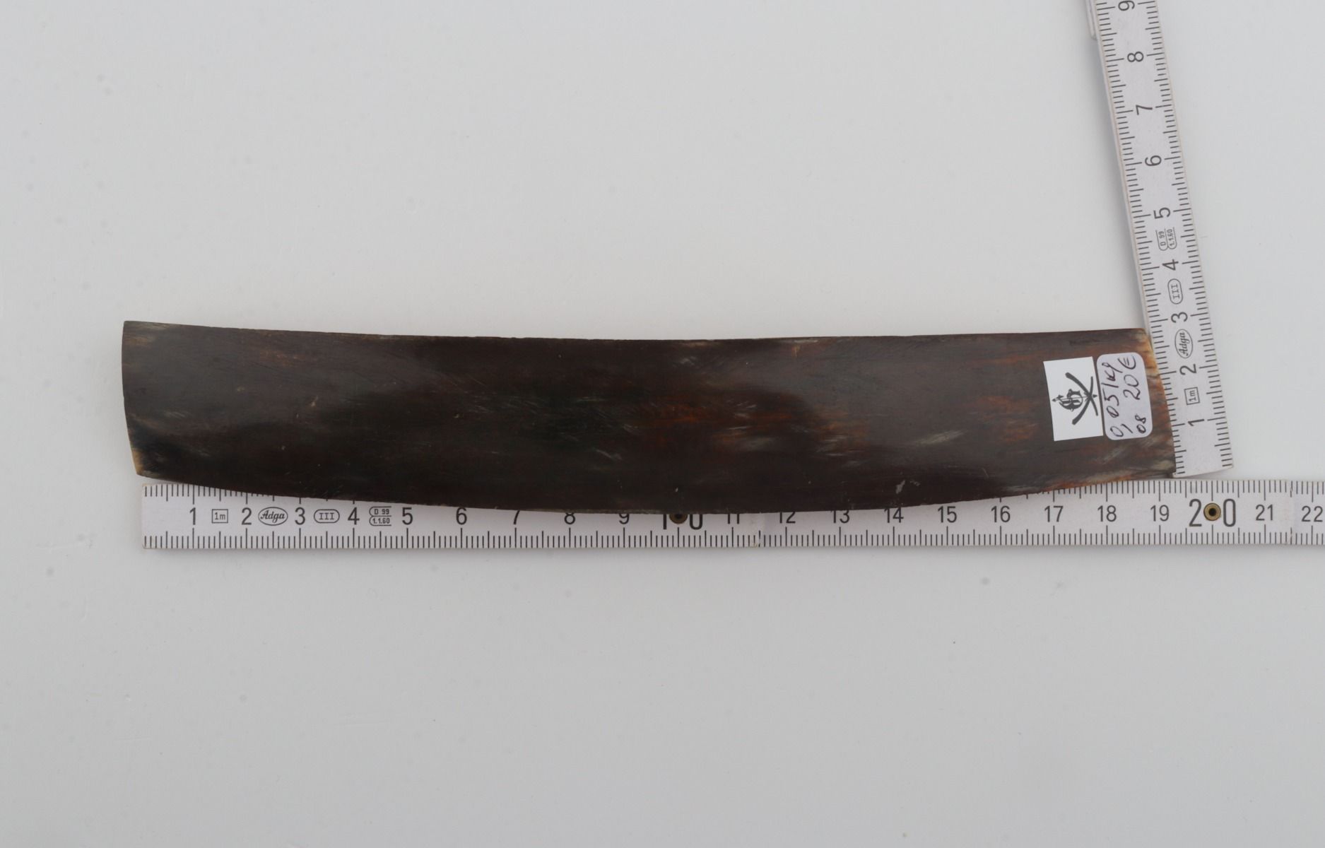 Brown-blue mammoth bark