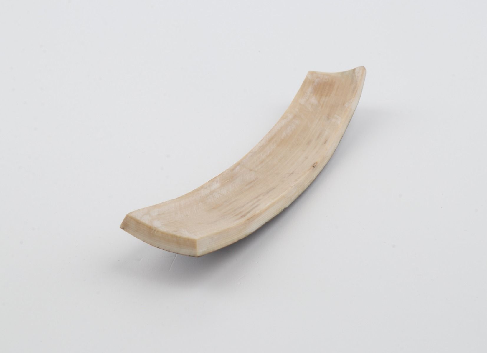 Brown-blue mammoth bark