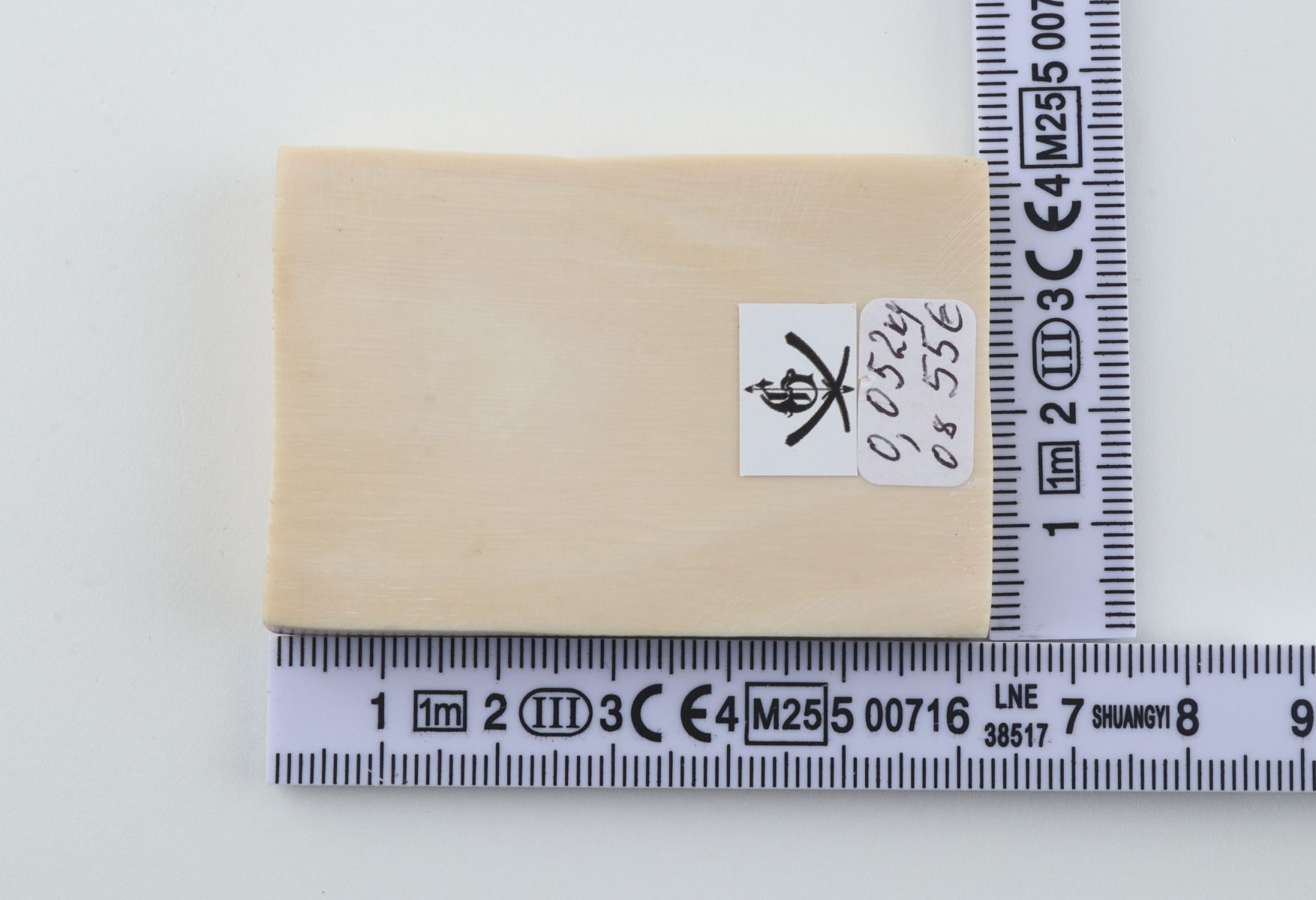 White mammoth ivory segment