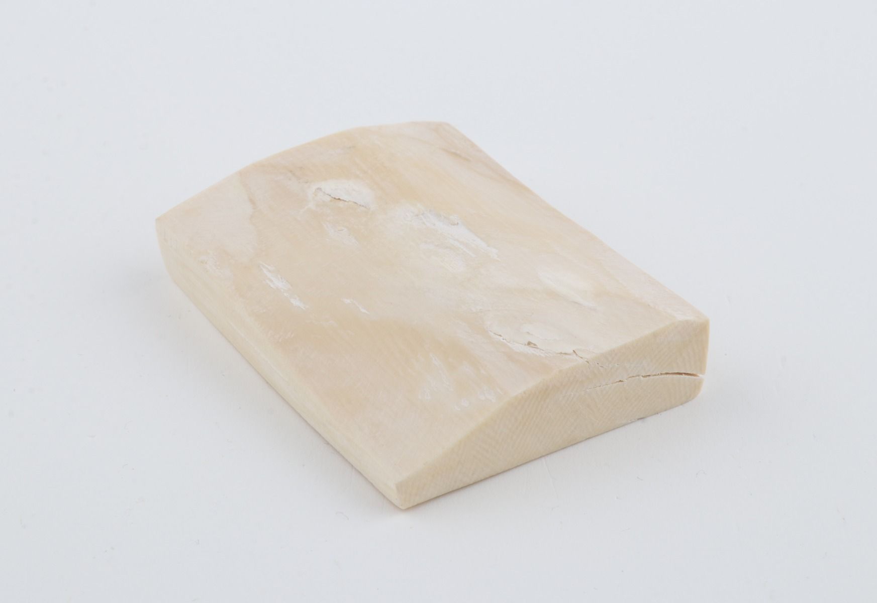White mammoth ivory segment