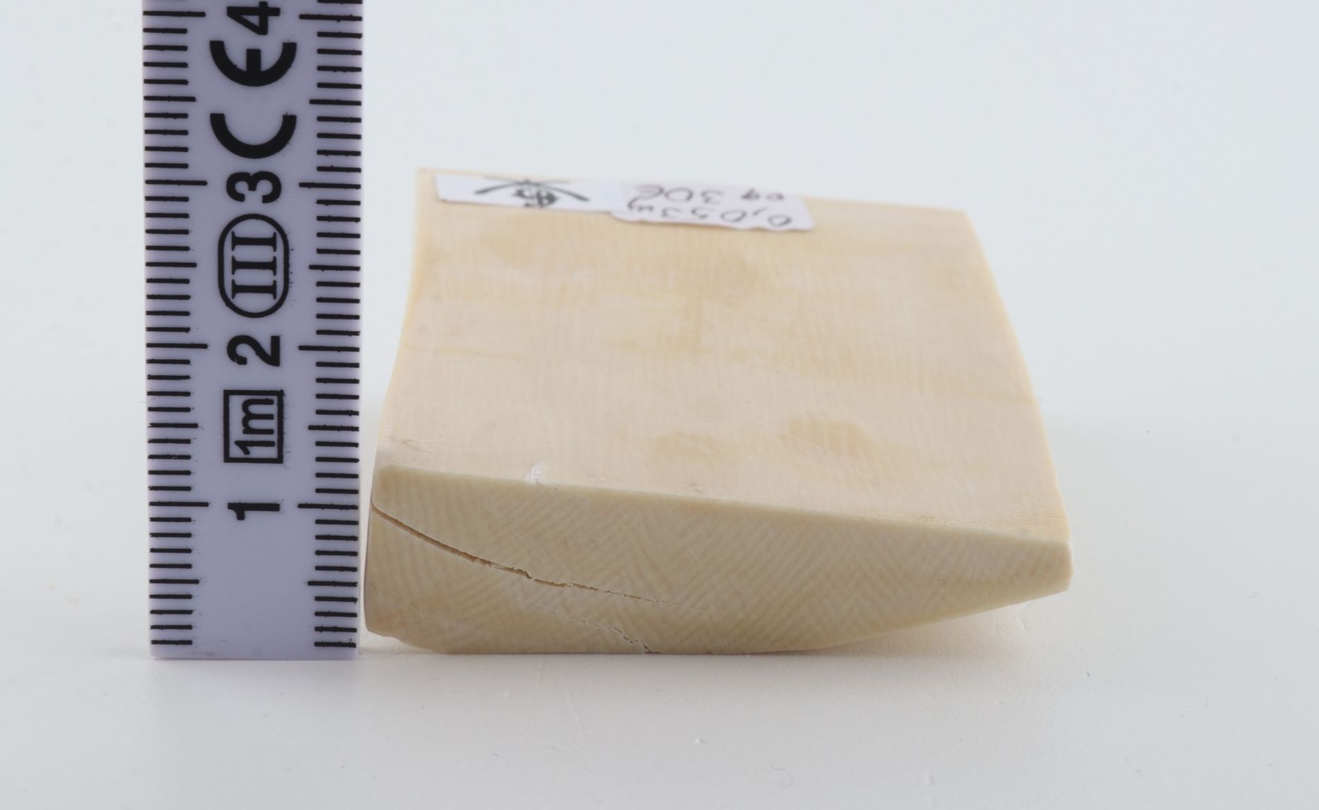 White mammoth ivory segment