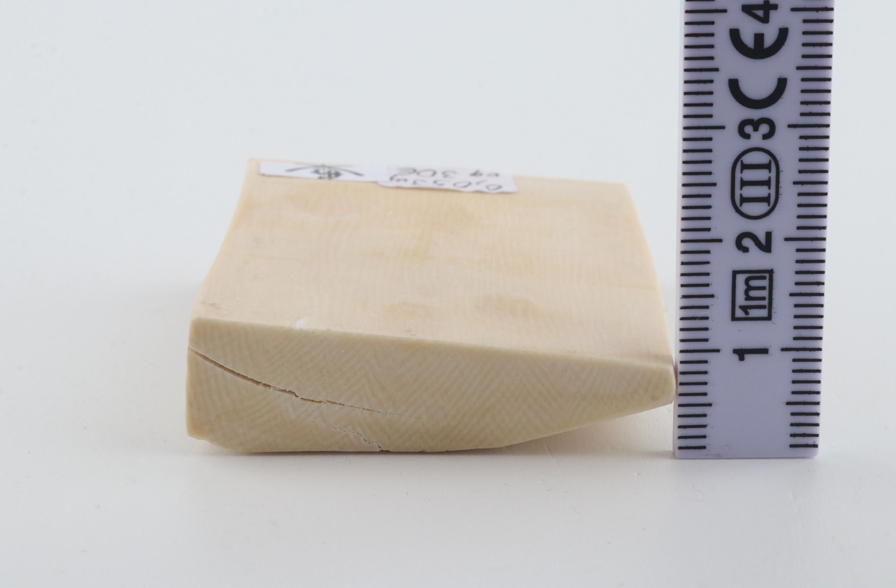 White mammoth ivory segment