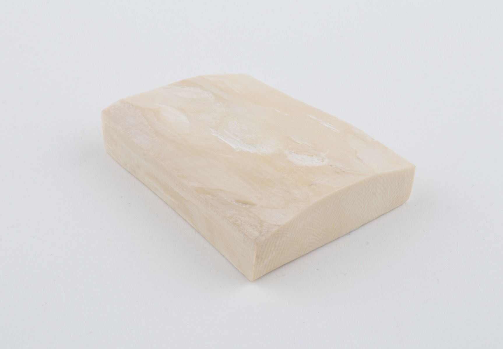 White mammoth ivory segment