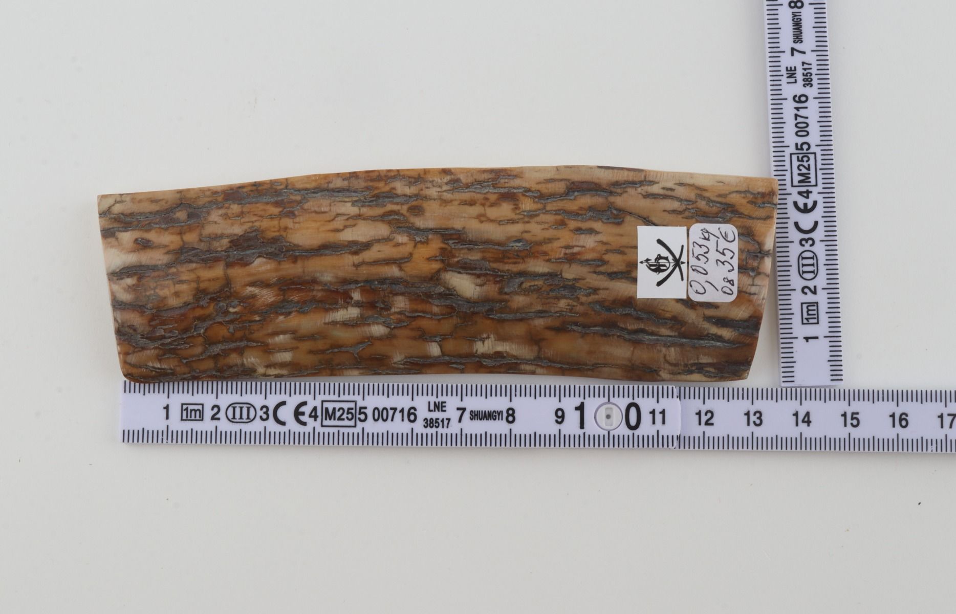 Mustard mammoth bark