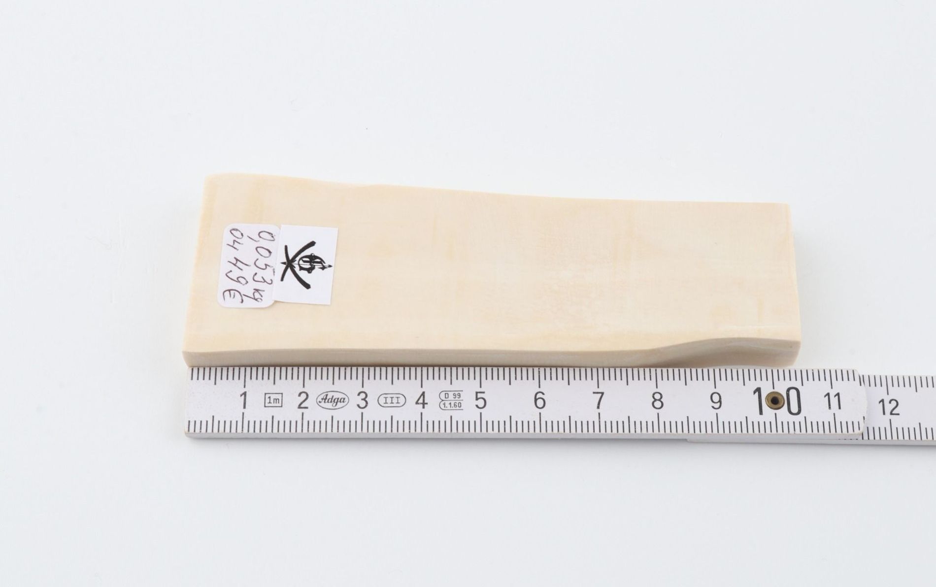 White mammoth ivory segment