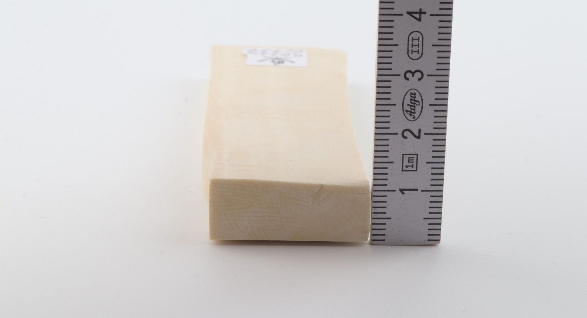 White mammoth ivory segment