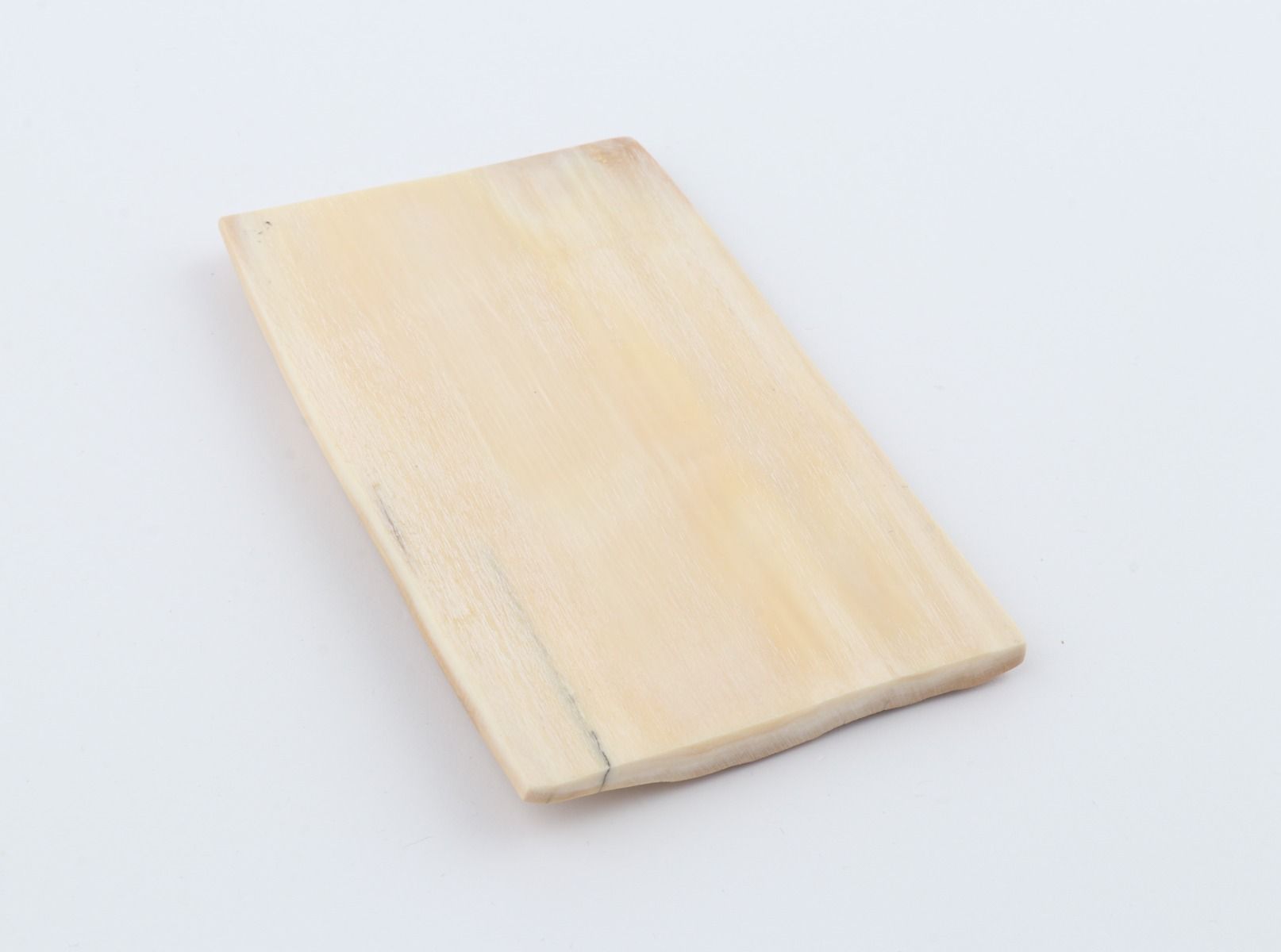 Beige mammoth bark