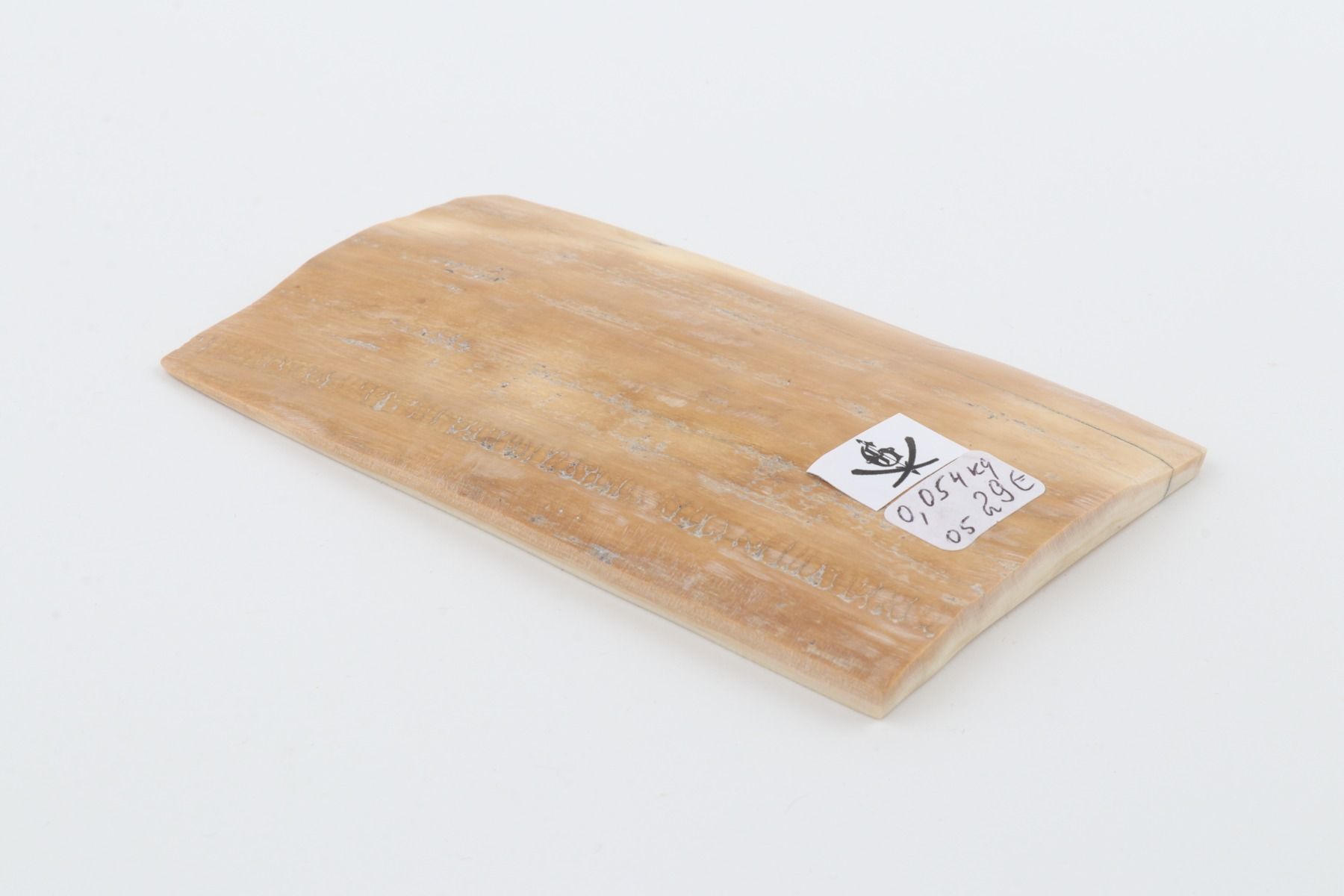 Beige mammoth bark