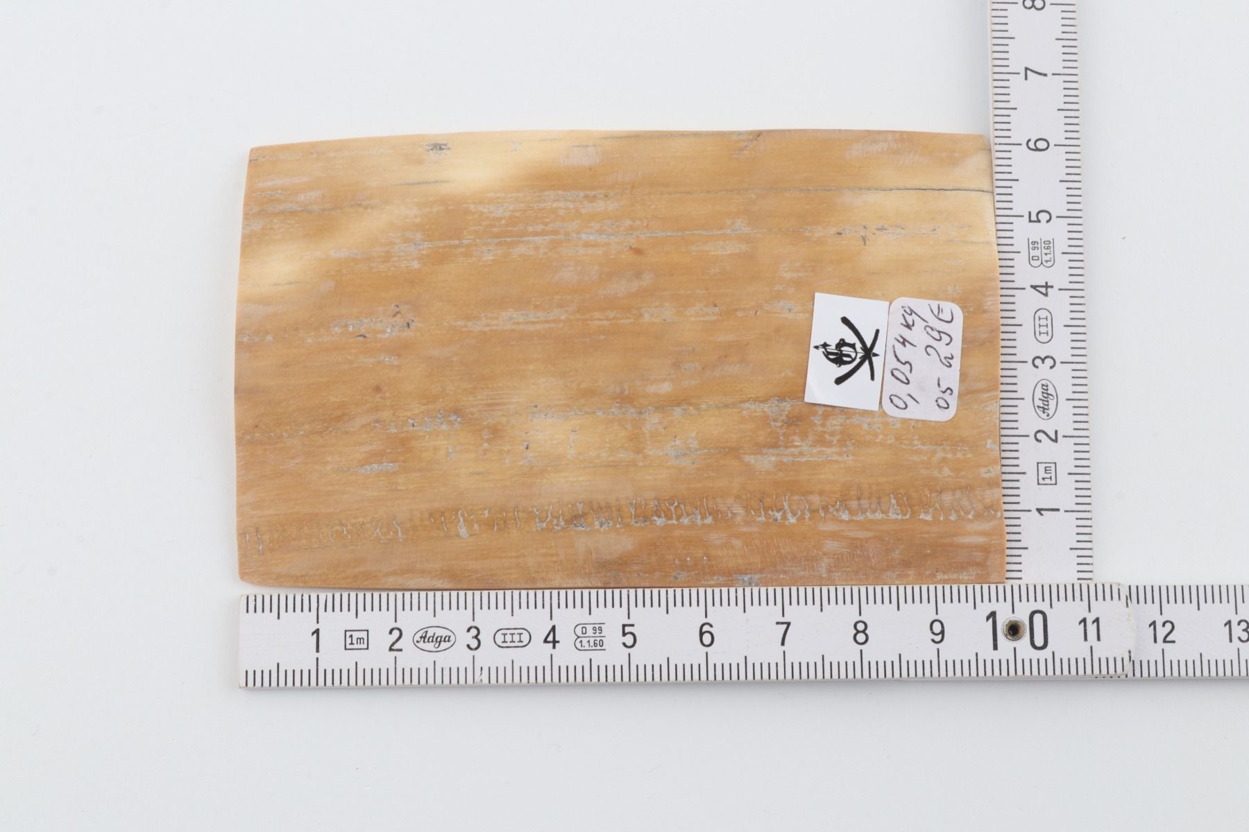 Beige mammoth bark