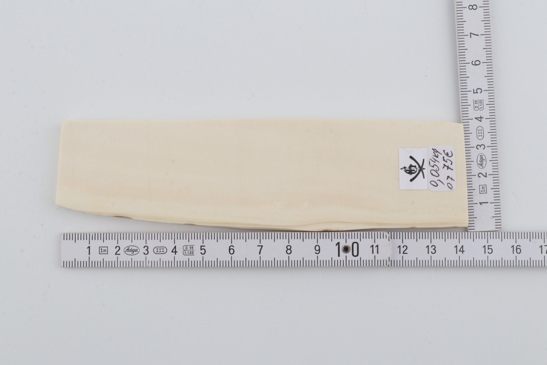 White mammoth ivory segment