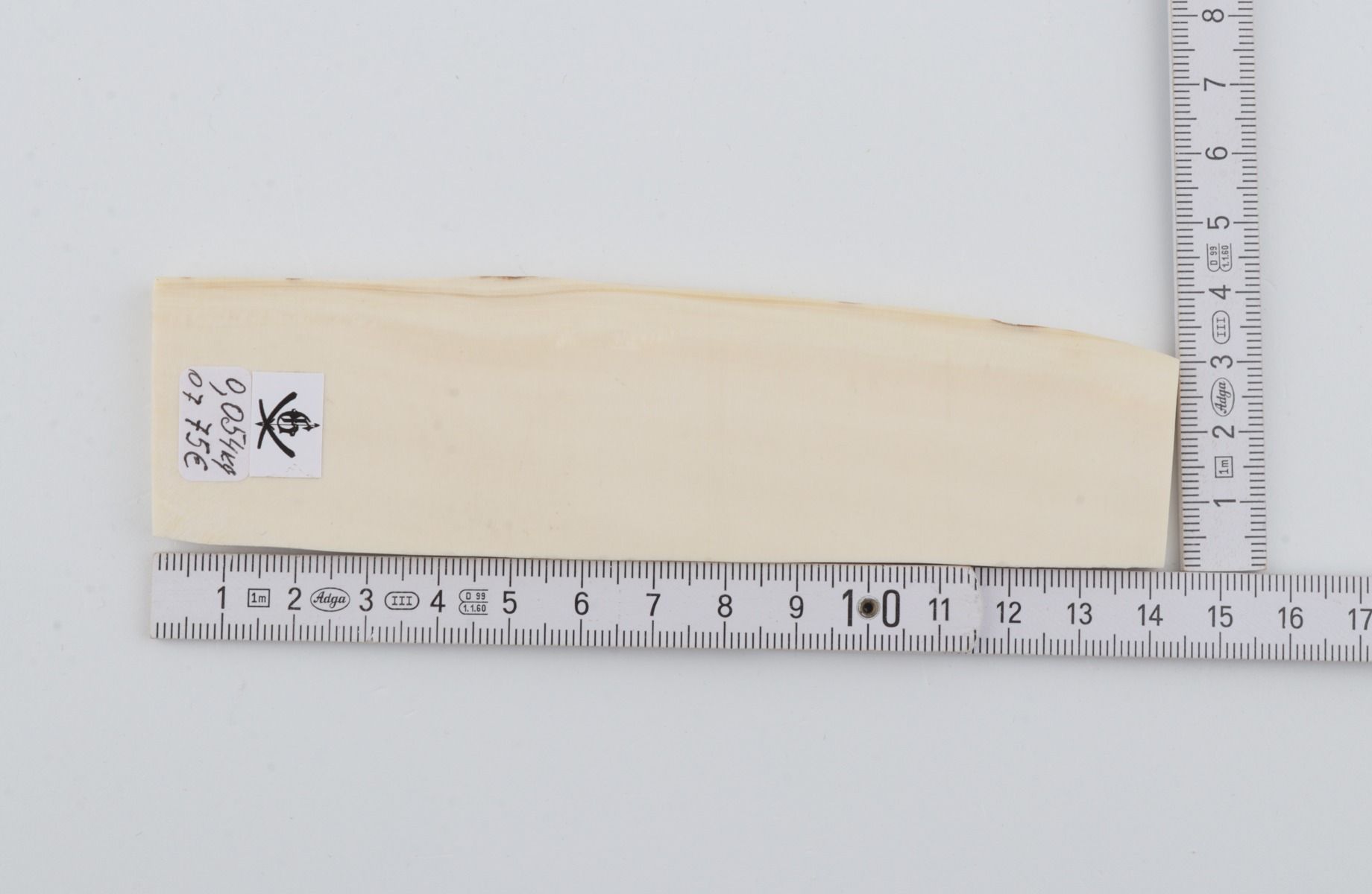 White mammoth ivory segment