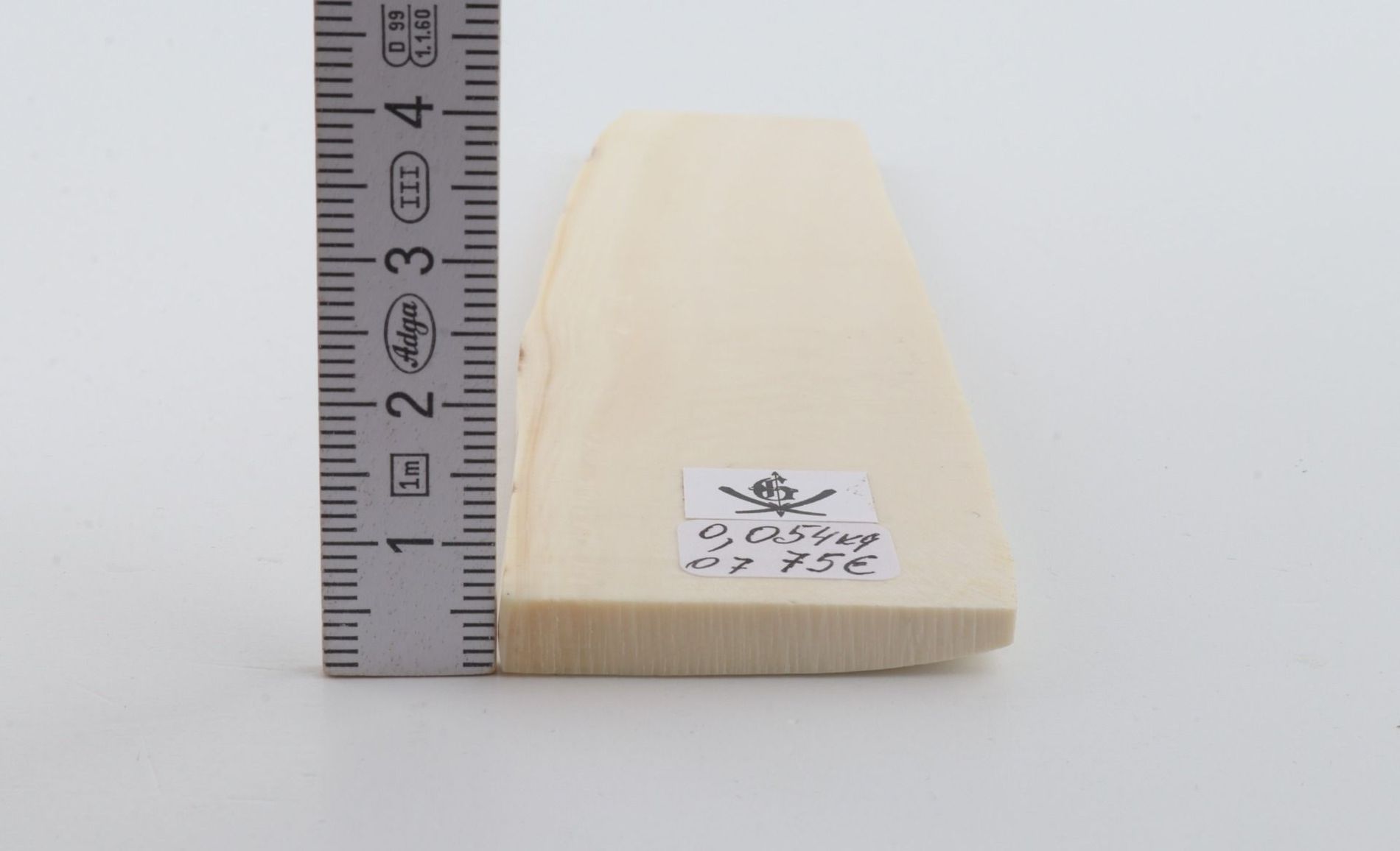 White mammoth ivory segment