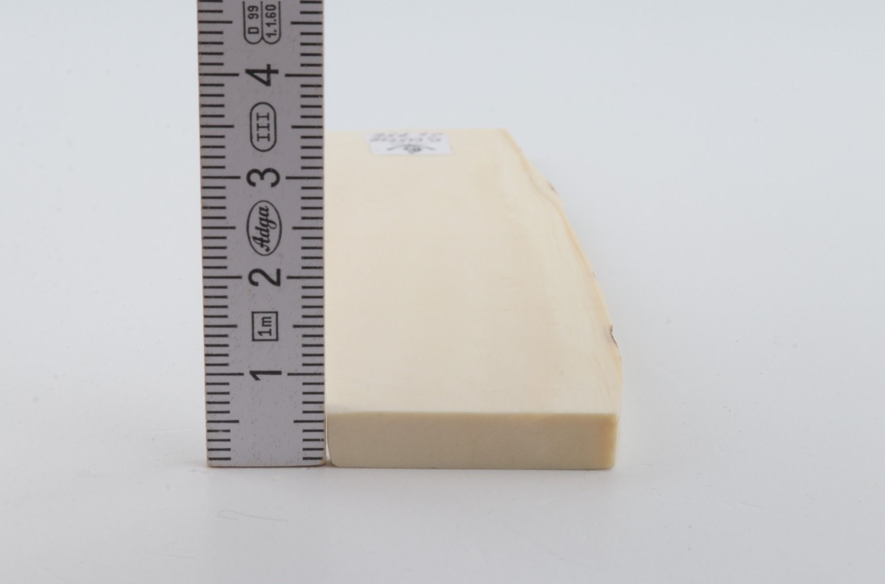 White mammoth ivory segment