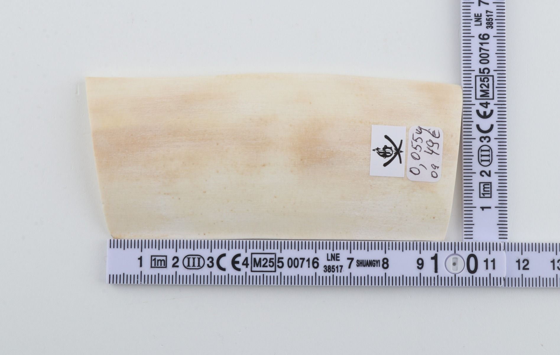 White mammoth ivory piece