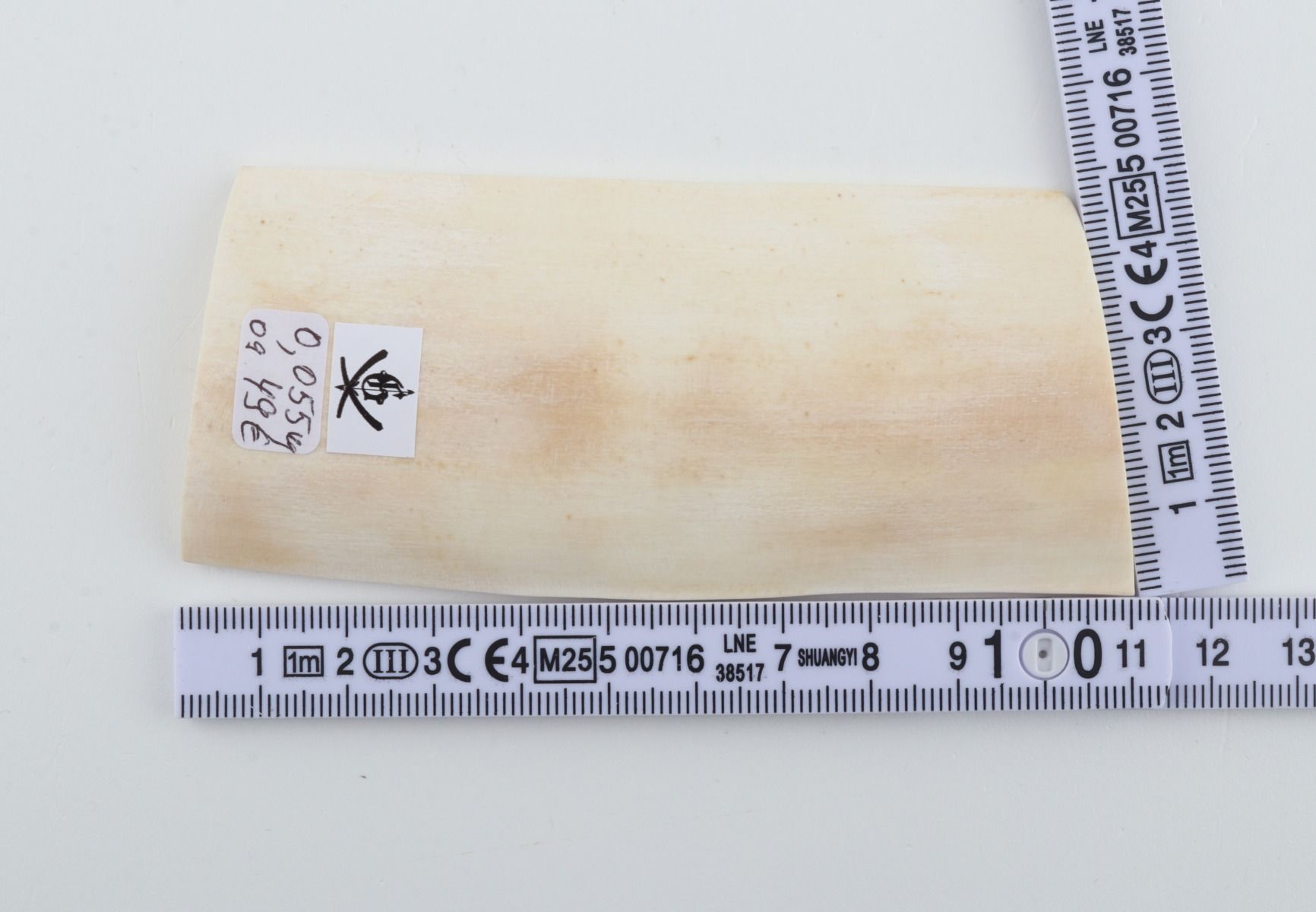 White mammoth ivory piece