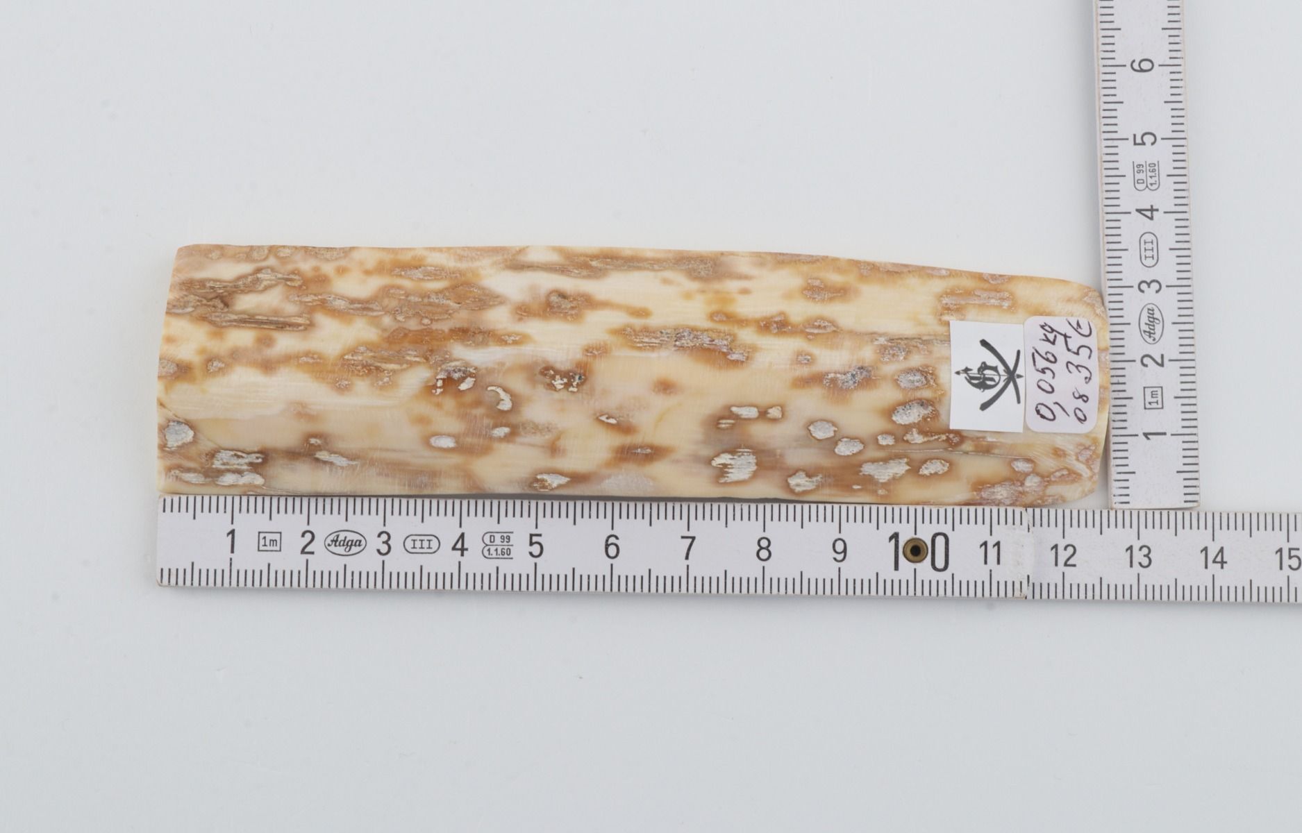 Beige-orange mammoth bark