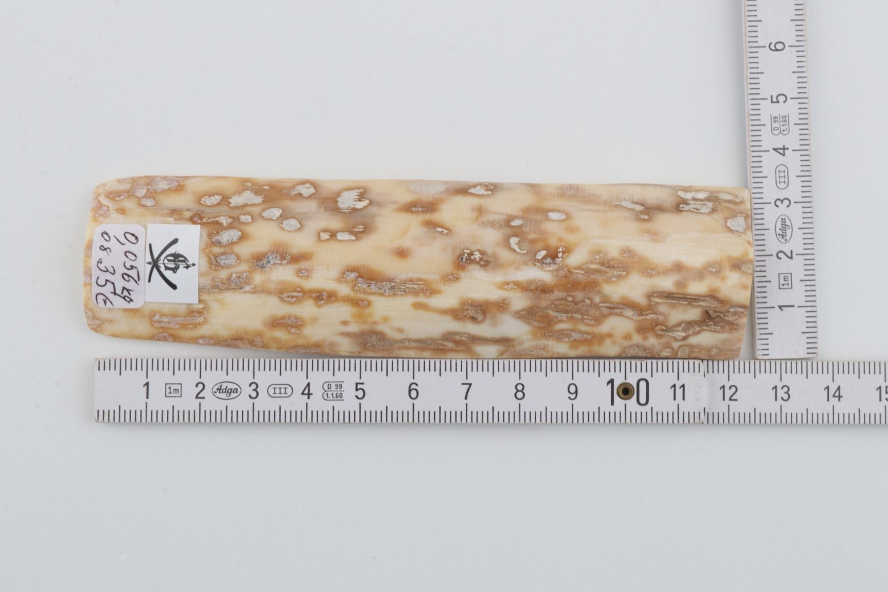Beige-orange mammoth bark