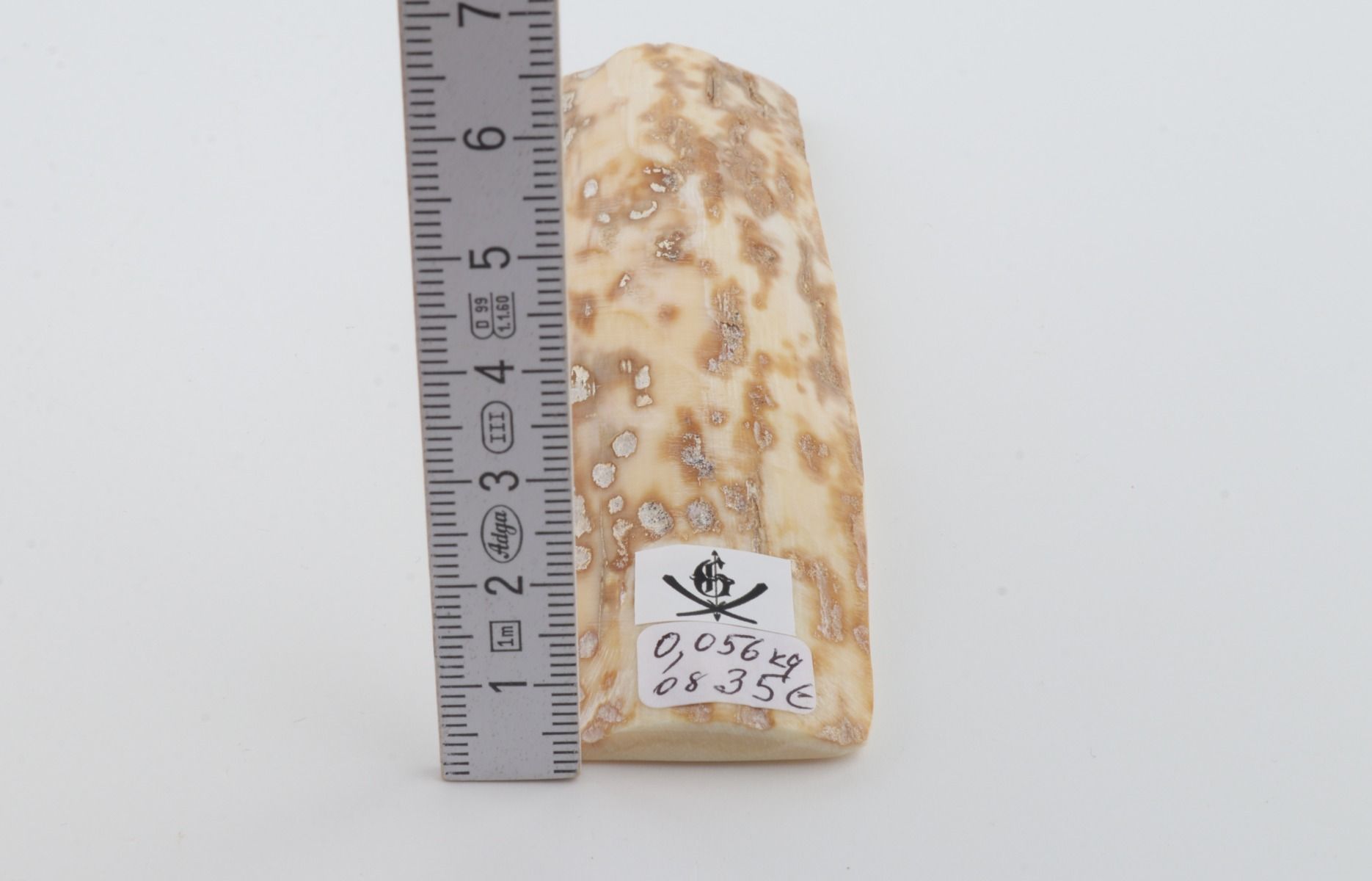 Beige-orange mammoth bark