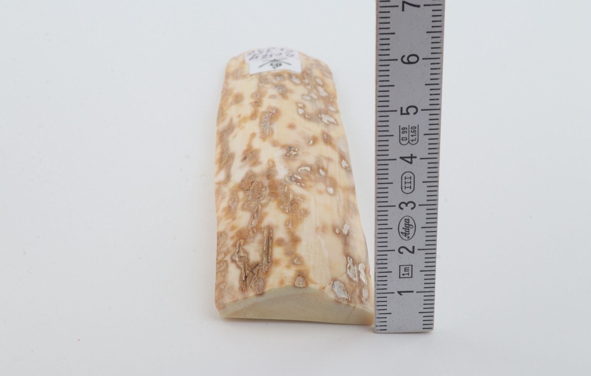 Beige-orange mammoth bark