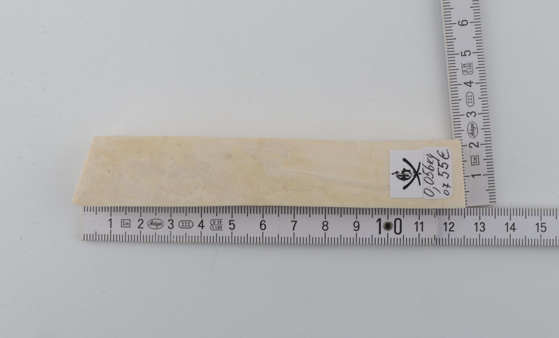 White mammoth ivory segment