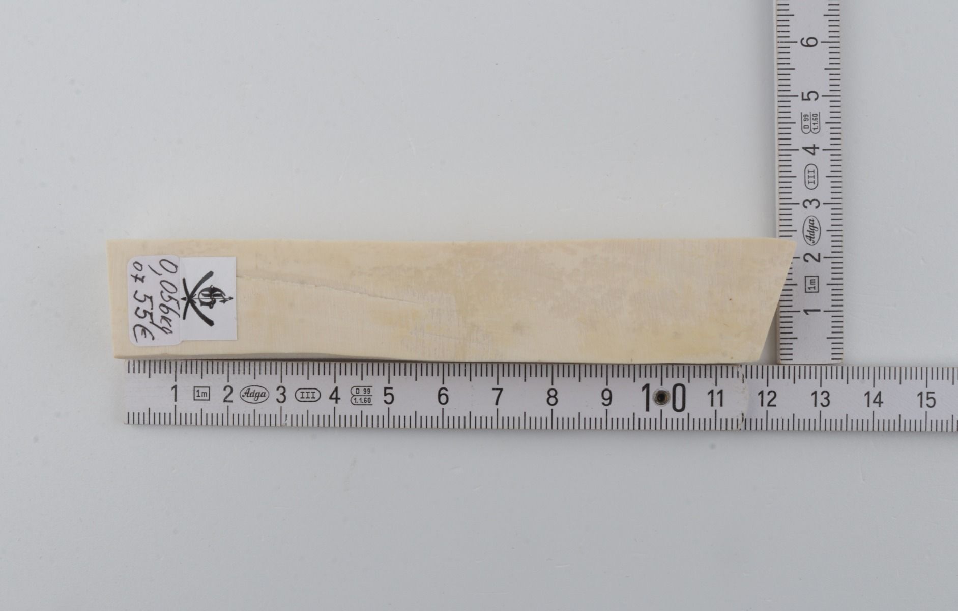 White mammoth ivory segment