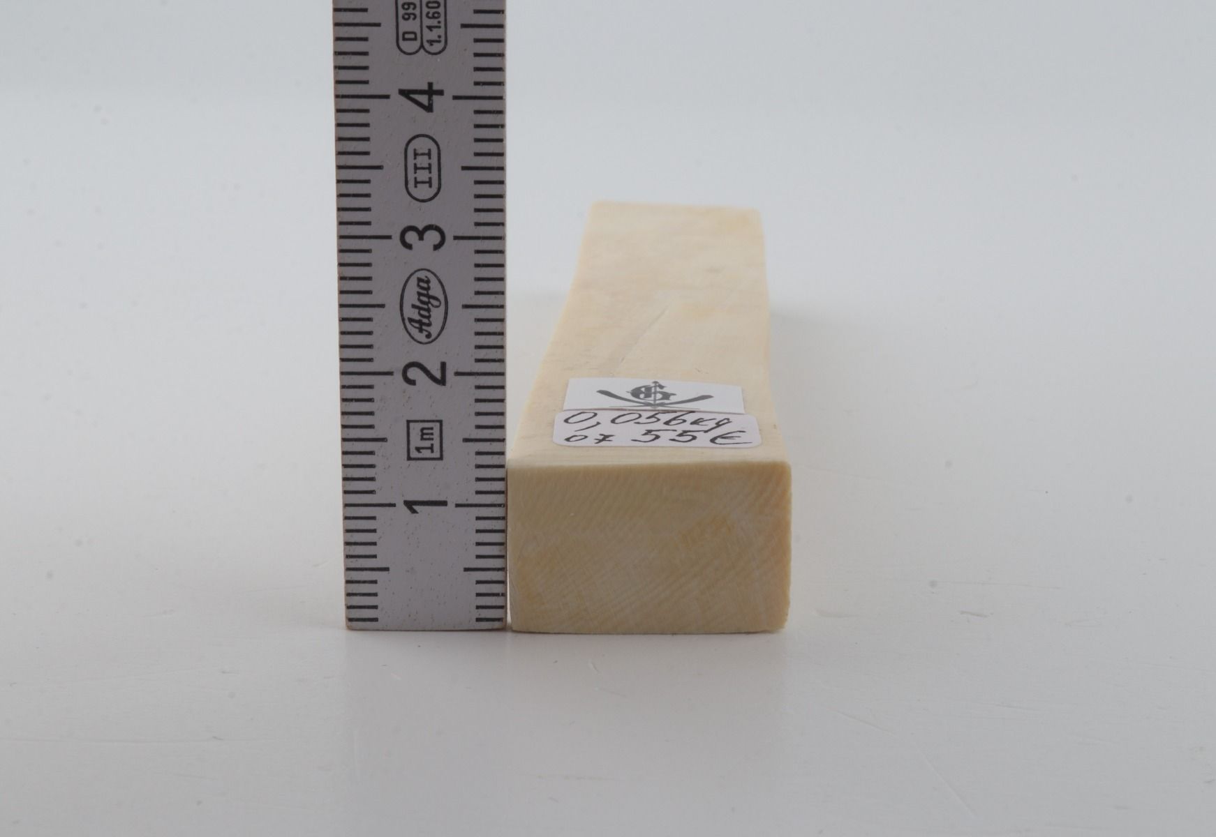 White mammoth ivory segment