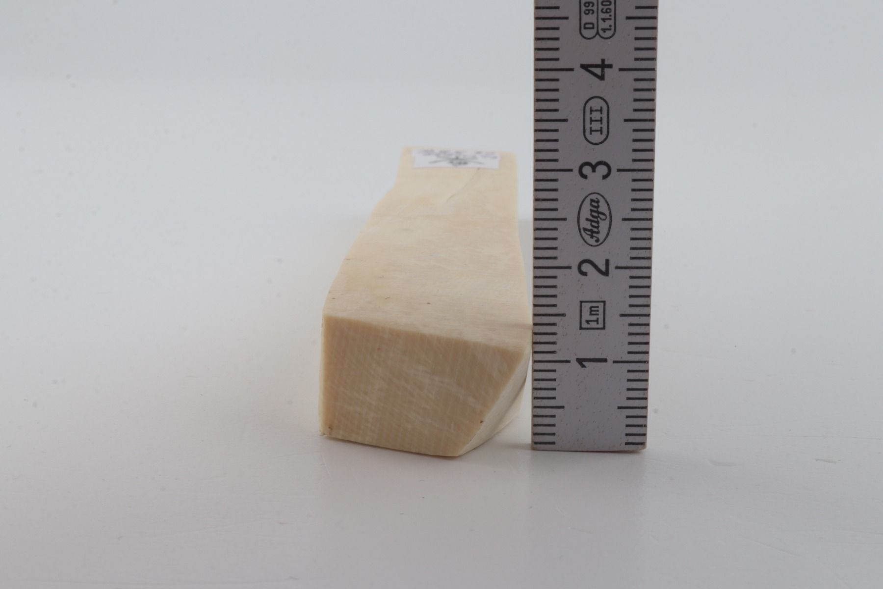 White mammoth ivory segment