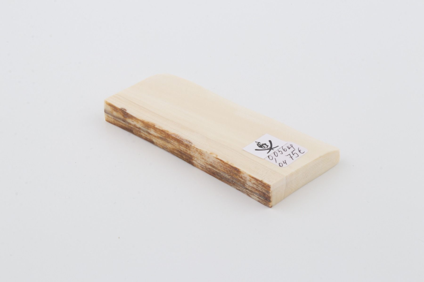 White mammoth ivory segment