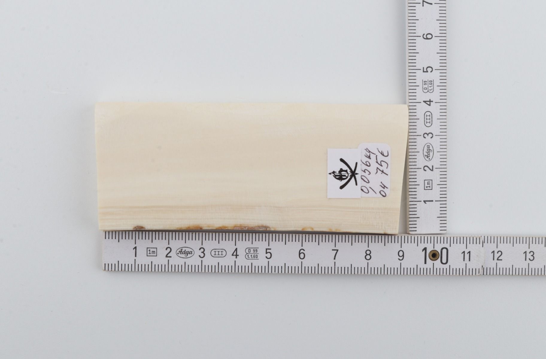 White mammoth ivory segment