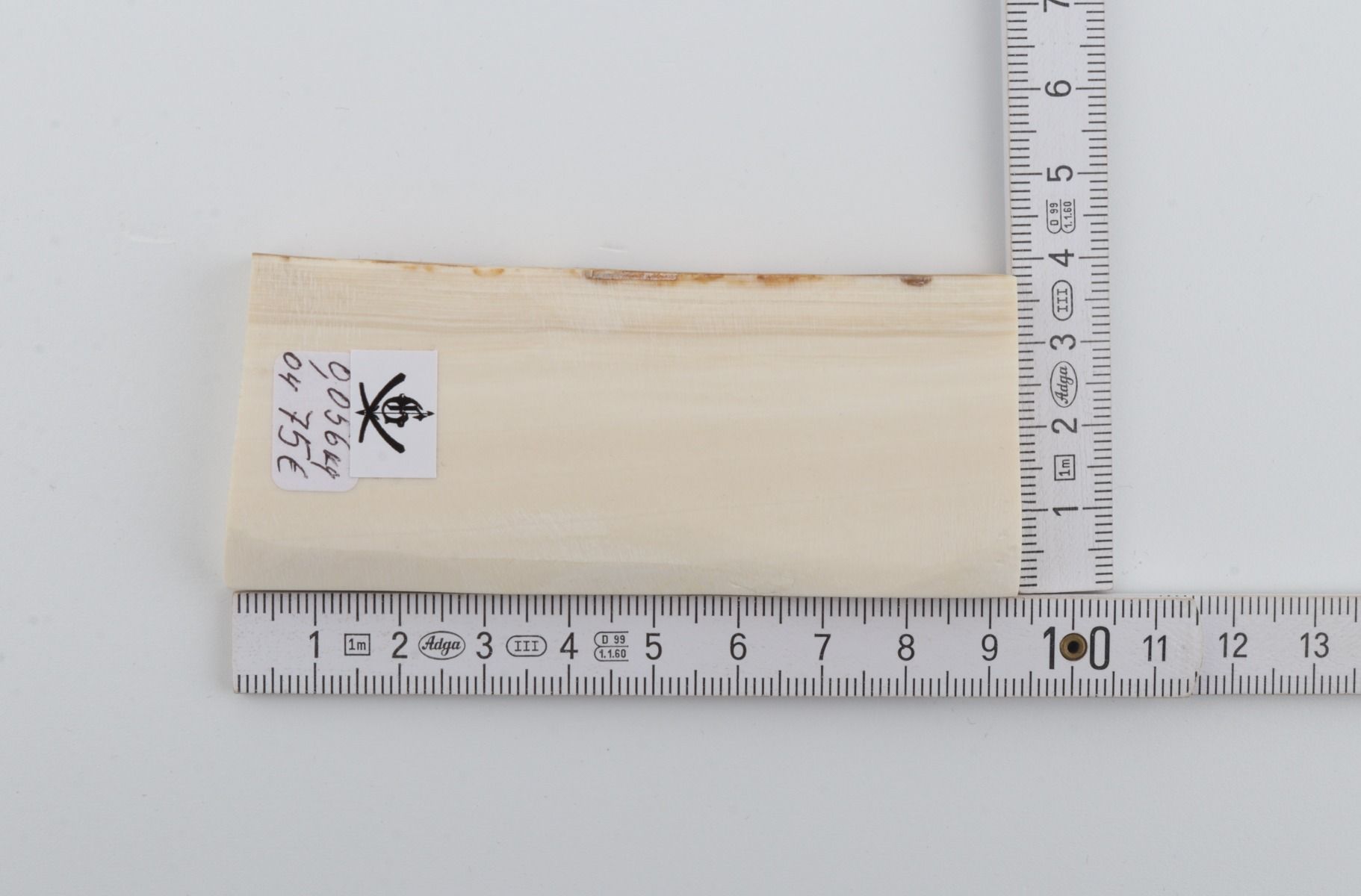 White mammoth ivory segment