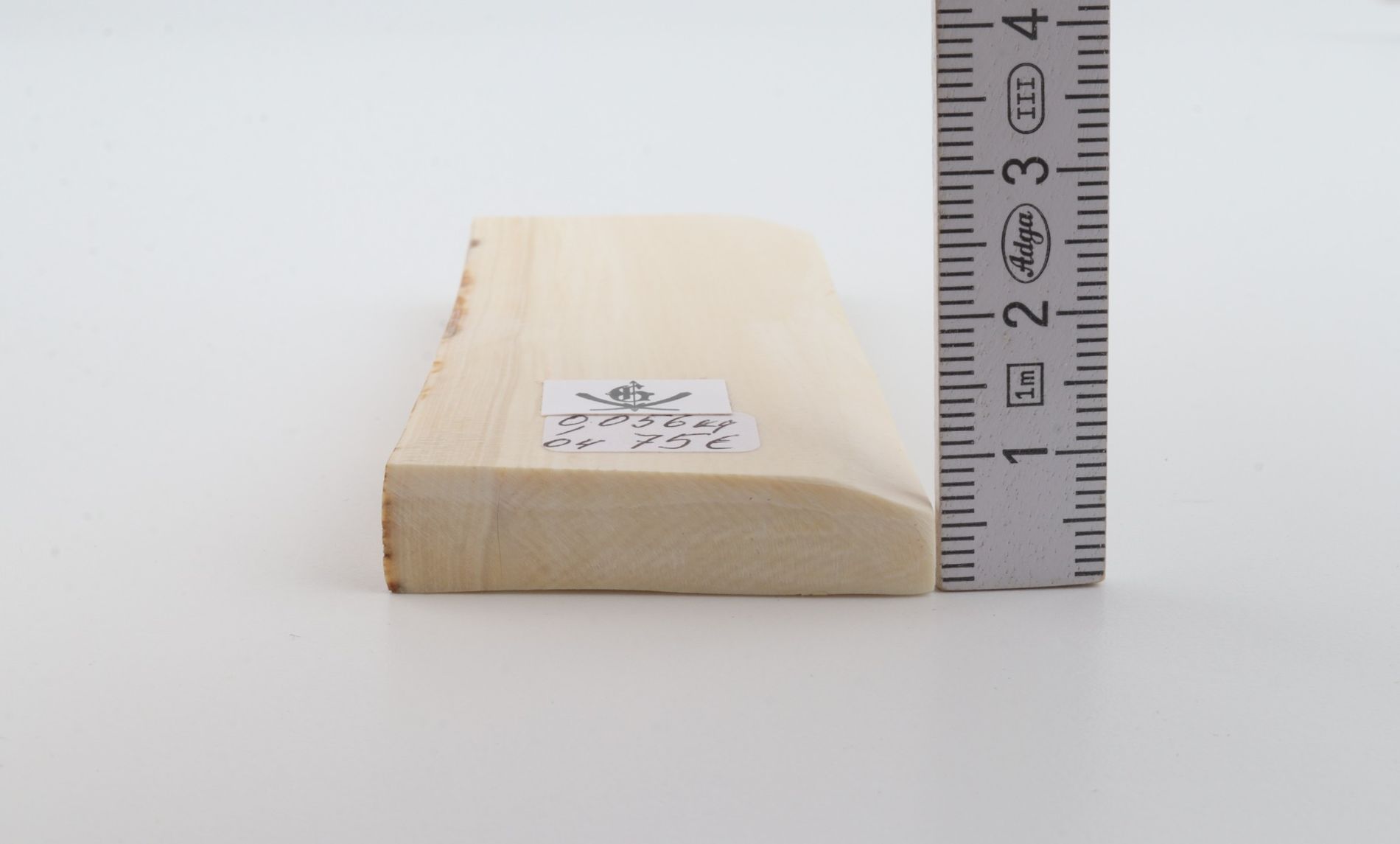White mammoth ivory segment