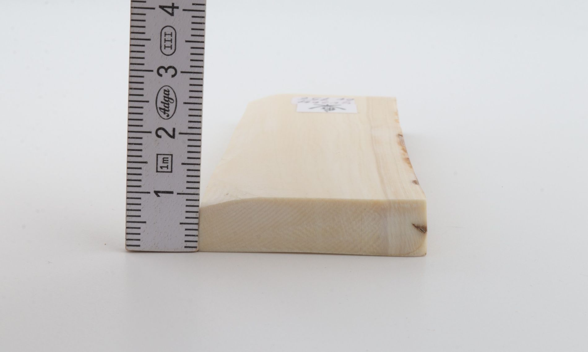 White mammoth ivory segment
