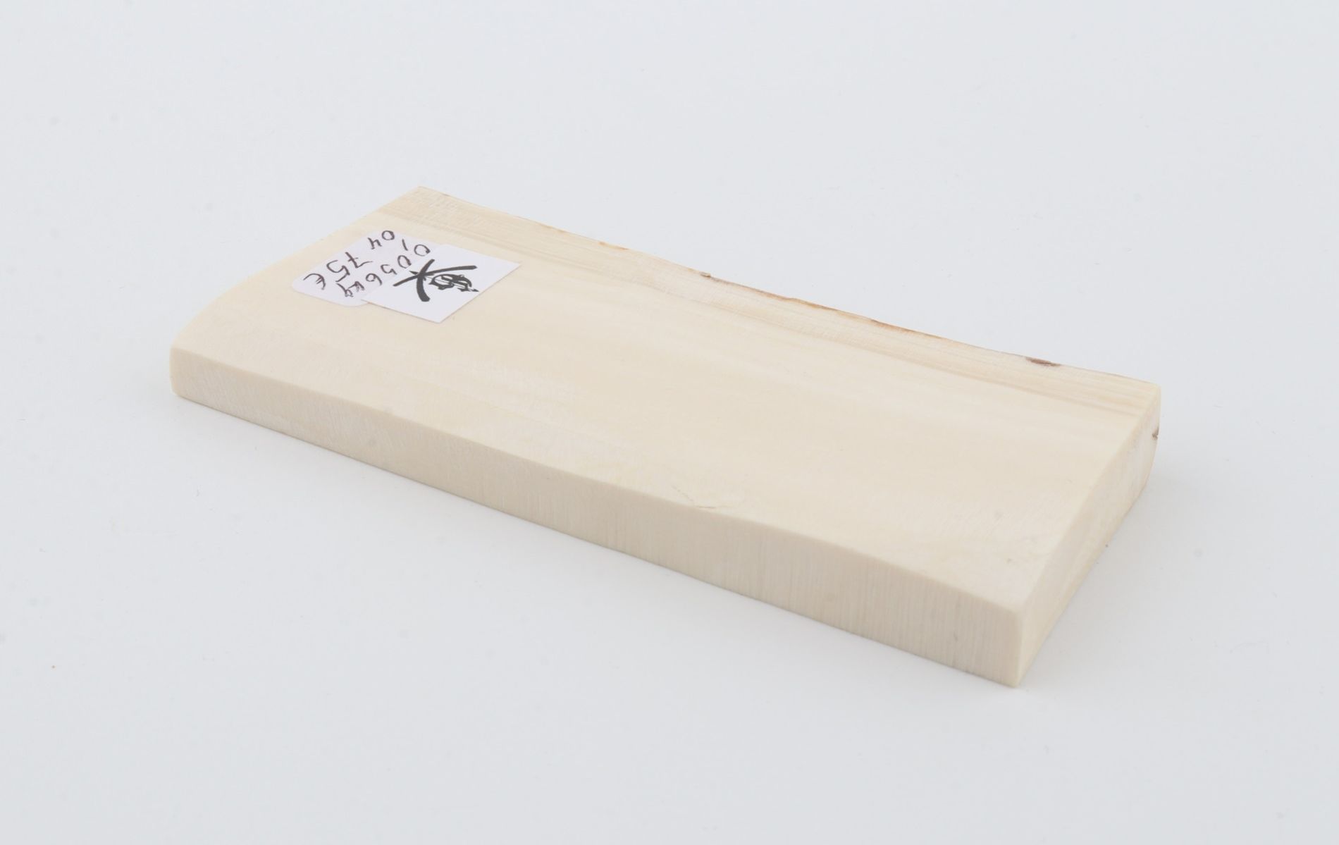 White mammoth ivory segment