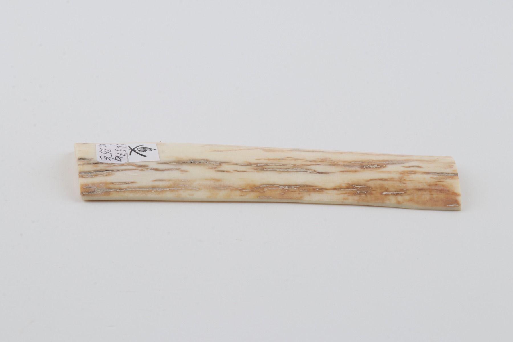 White-yellow mammoth bark