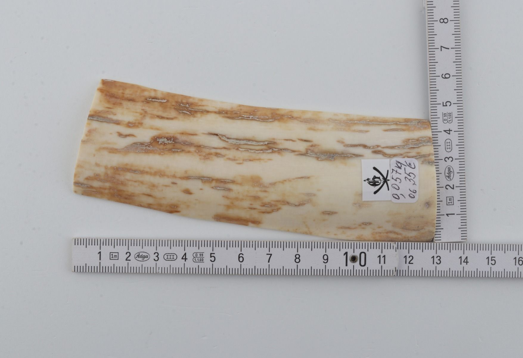 White-yellow mammoth bark