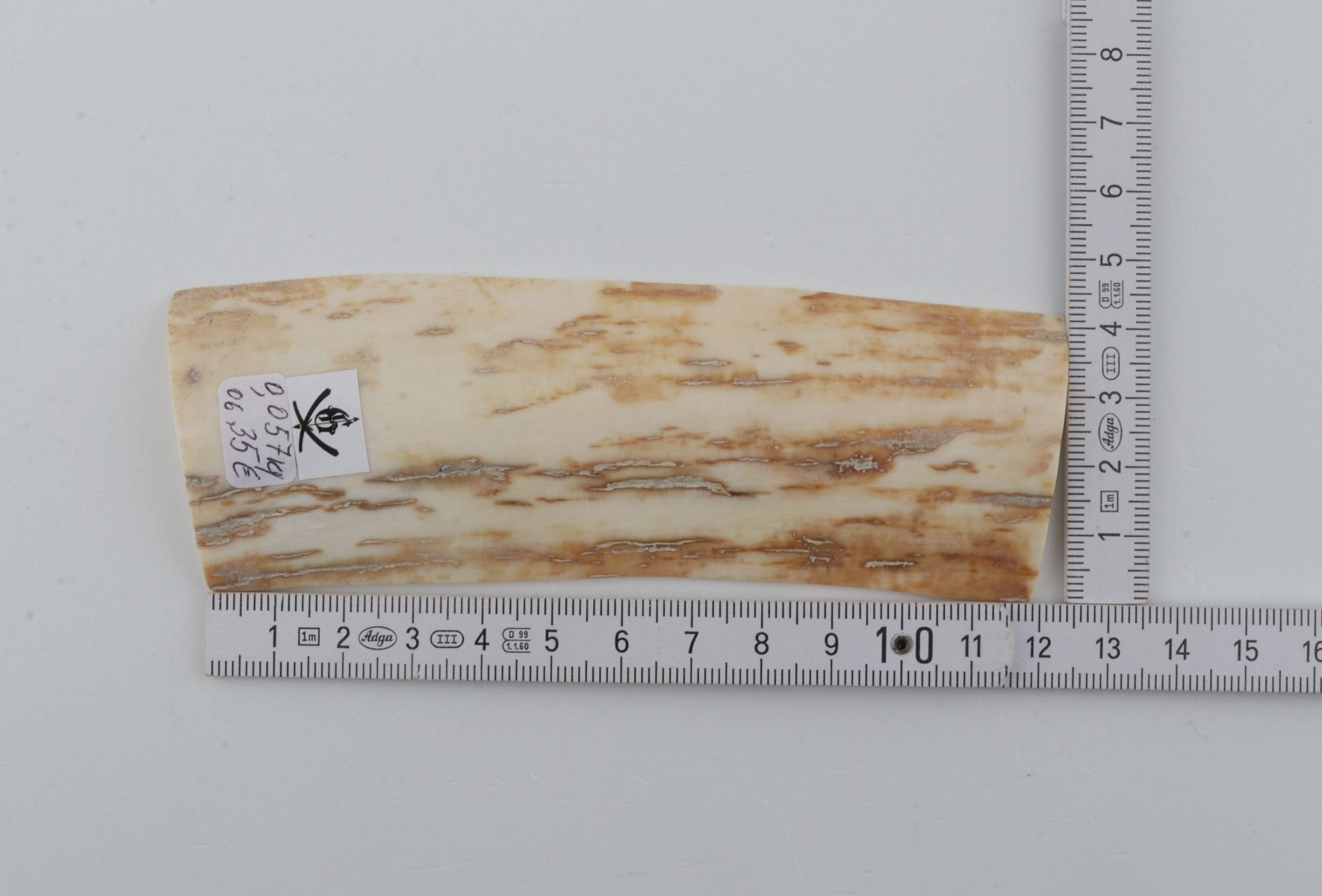 White-yellow mammoth bark