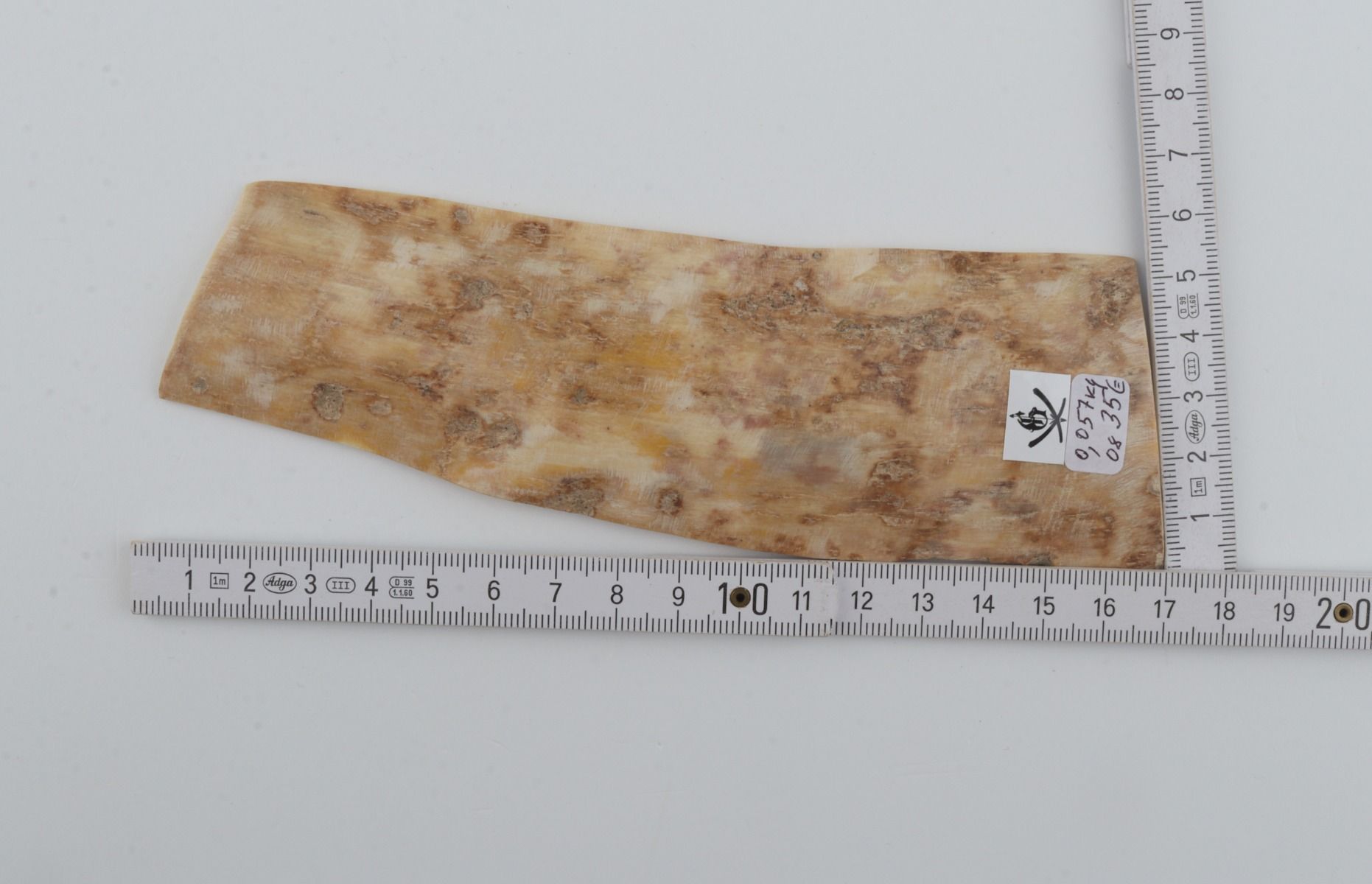 Creme mammoth bark
