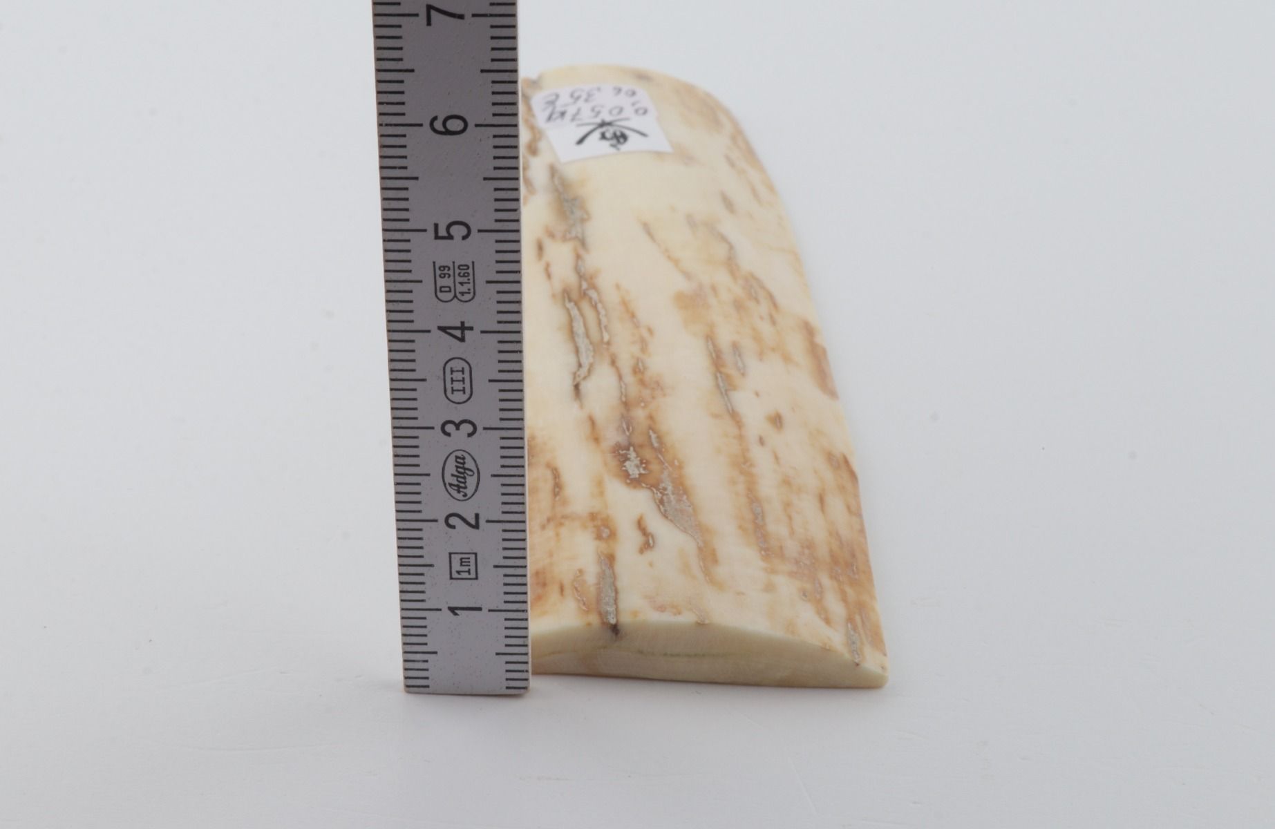 White-yellow mammoth bark