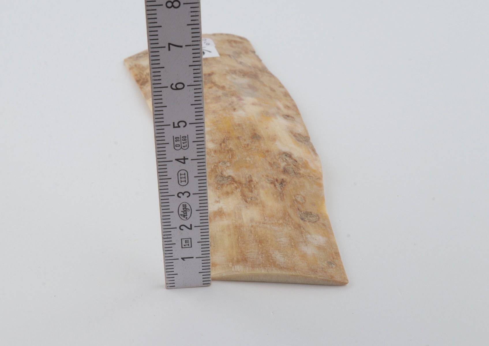 Creme mammoth bark